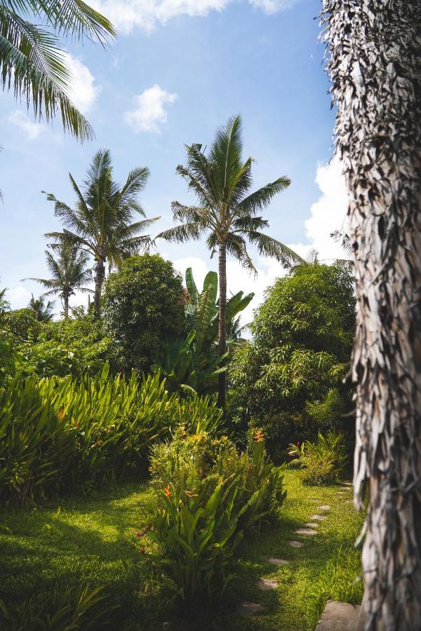 Triangle Palms Siargao Villa General Luna  Eksteriør billede